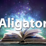 Sennik aligator