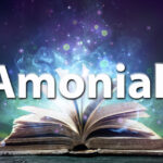 Sennik amoniak
