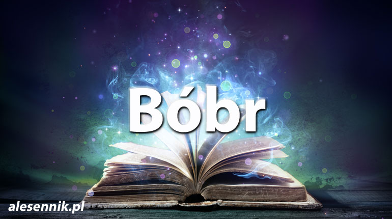 Sennik Bóbr - alesennik.pl - Znaczenie snów