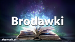 Sennik Brodawka - alesennik.pl - Znaczenie snów Sennik Brodawka - alesennik.pl - Znaczenie snów