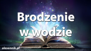 Sennik Brodzenie w wodzie - alesennik.pl - Znaczenie snów Sennik Brodzenie w wodzie - alesennik.pl - Znaczenie snów