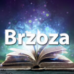 Sennik brzoza