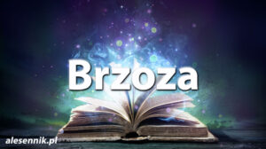 Sennik Brzoza - alesennik.pl - Znaczenie snów Sennik Brzoza - alesennik.pl - Znaczenie snów