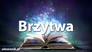Sennik Brzytwa - alesennik.pl - Znaczenie snów Sennik Brzytwa - alesennik.pl - Znaczenie snów