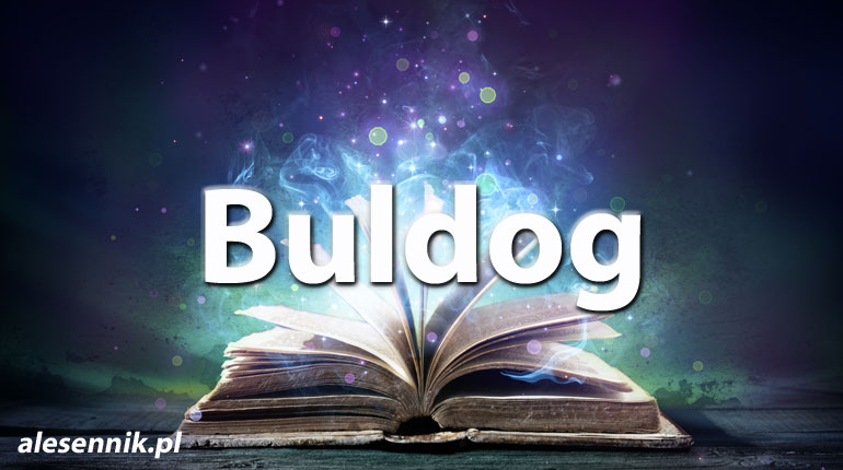 Sennik Buldog - alesennik.pl - Znaczenie snów