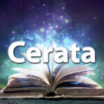 Sennik cerata