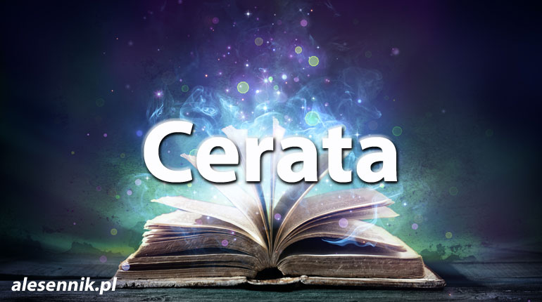 Sennik Cerata - alesennik.pl - Znaczenie snów
