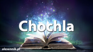 Sennik Chochla - alesennik.pl - Znaczenie snów Sennik Chochla - alesennik.pl - Znaczenie snów