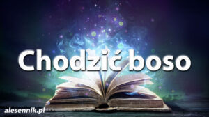 Sennik Chodzić boso - alesennik.pl - Znaczenie snów Sennik Chodzić boso - alesennik.pl - Znaczenie snów