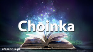 Sennik choinka — Sprawdź, co oznacza sen o choince! Sennik choinka — Sprawdź, co oznacza sen o choince!