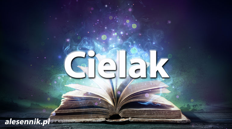 Sennik Cielak - alesennik.pl - Znaczenie snów