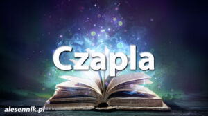 Sennik Czapla - alesennik.pl - Znaczenie snów Sennik Czapla - alesennik.pl - Znaczenie snów
