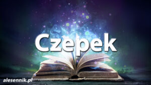 Sennik Czepek - alesennik.pl - Znaczenie snów Sennik Czepek - alesennik.pl - Znaczenie snów