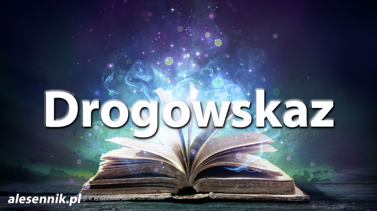Sennik Drogowskaz - alesennik.pl - Znaczenie snów