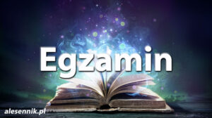 Sennik egzamin — Sprawdź, co oznacza sen o egzaminie! Sennik egzamin — Sprawdź, co oznacza sen o egzaminie!