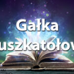 Sennik gałka muszkatołowa