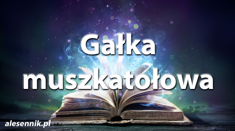Sennik Gałka muszkatołowa - alesennik.pl - Znaczenie snów