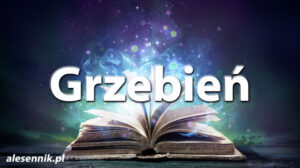 Sennik Grzebień - alesennik.pl - Znaczenie snów