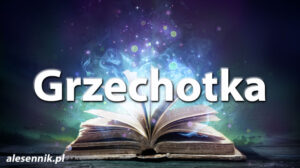 Sennik Grzechotka - alesennik.pl - Znaczenie snów
