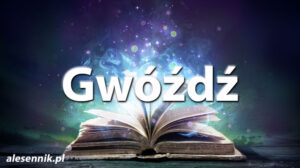 Sennik Gwóźdź - alesennik.pl - Znaczenie snów
