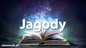 Sennik jagody — Sprawdź, co oznacza sen o jagodach! Sennik jagody — Sprawdź, co oznacza sen o jagodach!
