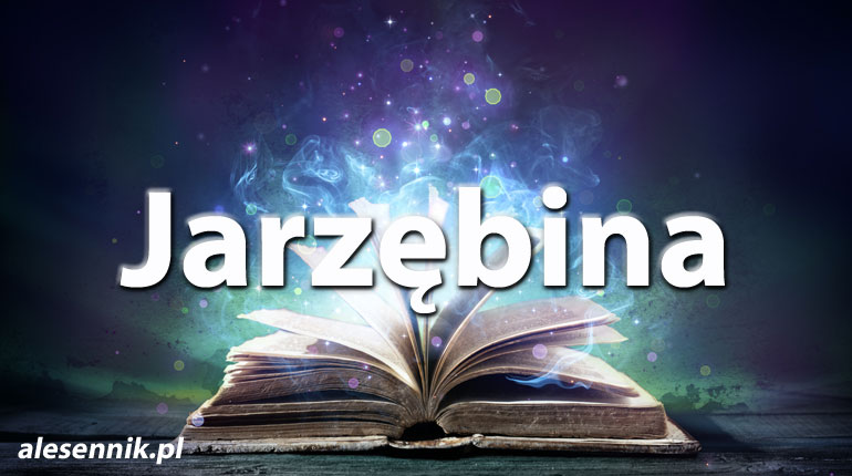 Sennik Jarzębina - alesennik.pl - Znaczenie snów