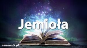 Sennik Jemioła - alesennik.pl - Znaczenie snów Sennik Jemioła - alesennik.pl - Znaczenie snów