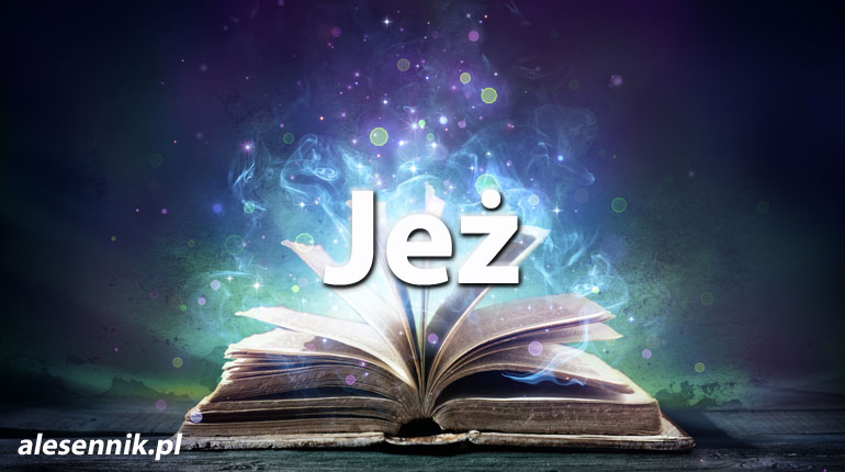 Sennik jeż — Sprawdź, co oznacza sen o jeżu!