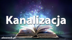 Sennik Kanalizacja - alesennik.pl - Znaczenie snów Sennik Kanalizacja - alesennik.pl - Znaczenie snów