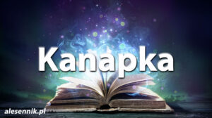 Sennik kanapka — Sprawdź, co oznacza sen o kanapce! Sennik kanapka — Sprawdź, co oznacza sen o kanapce!