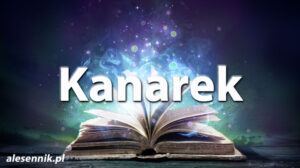 Sennik Kanarek - alesennik.pl - Znaczenie snów Sennik Kanarek - alesennik.pl - Znaczenie snów