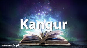 Sennik Kangur - alesennik.pl - Znaczenie snów Sennik Kangur - alesennik.pl - Znaczenie snów