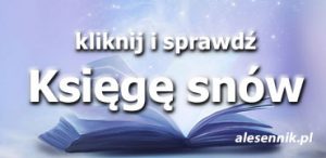 ksiega_snow_bok