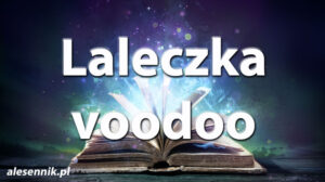 Sennik Laleczka voodoo - alesennik.pl - Znaczenie snów Sennik Laleczka voodoo - alesennik.pl - Znaczenie snów