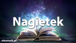 Sennik Nagietek - alesennik.pl - Znaczenie snów Sennik Nagietek - alesennik.pl - Znaczenie snów