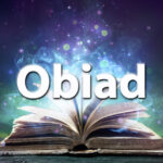 Sennik obiad