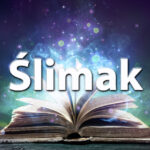 Sennik ślimak