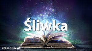 Sennik śliwka — Sprawdź, co oznacza sen o śliwce! Sennik śliwka — Sprawdź, co oznacza sen o śliwce!