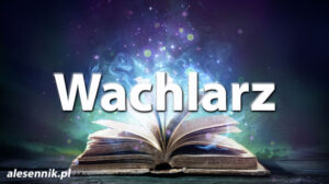Sennik Wachlarz - alesennik.pl - Znaczenie snów Sennik Wachlarz - alesennik.pl - Znaczenie snów