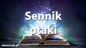 sennik_ptaki