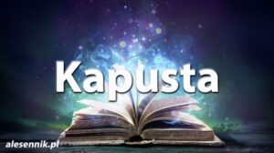 Sennik Kapusta - alesennik.pl - Znaczenie snów Sennik Kapusta - alesennik.pl - Znaczenie snów