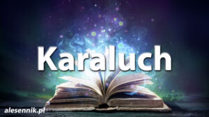 Sennik karaluch — Sprawdź, co oznacza sen o karaluchu! Sennik karaluch — Sprawdź, co oznacza sen o karaluchu!
