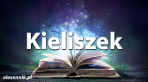 Sennik kieliszek — Sprawdź, co oznacza sen o kieliszku! Sennik kieliszek — Sprawdź, co oznacza sen o kieliszku!