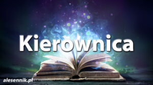 Sennik Kierownica - alesennik.pl - Znaczenie snów Sennik Kierownica - alesennik.pl - Znaczenie snów