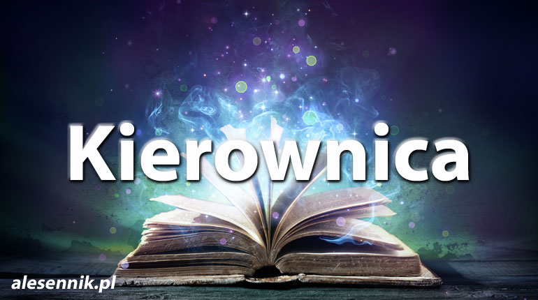 Sennik Kierownica - alesennik.pl - Znaczenie snów