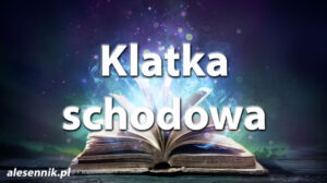 Sennik Klatka schodowa - alesennik.pl - Znaczenie snów Sennik Klatka schodowa - alesennik.pl - Znaczenie snów