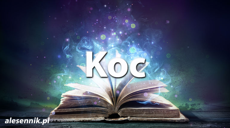 Sennik koc — Sprawdź, co oznacza sen o kocu!