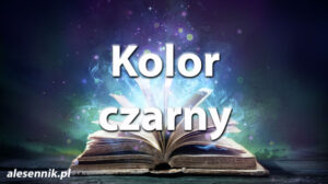 Sennik Kolor czarny - alesennik.pl - Znaczenie snów Sennik Kolor czarny - alesennik.pl - Znaczenie snów