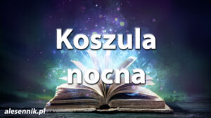 Sennik Koszula nocna - alesennik.pl - Znaczenie snów Sennik Koszula nocna - alesennik.pl - Znaczenie snów