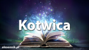 Sennik Kotwica - alesennik.pl - Znaczenie snów Sennik Kotwica - alesennik.pl - Znaczenie snów